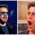 A picture of Robert Downey Junior’s dog is taking the Internet by storm… and with good reason