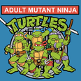 Teenage Mutant Ninja Turtles: Where are they now?