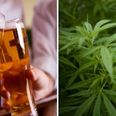 Study shows that the smartest students are more likely to drink alcohol and smoke pot