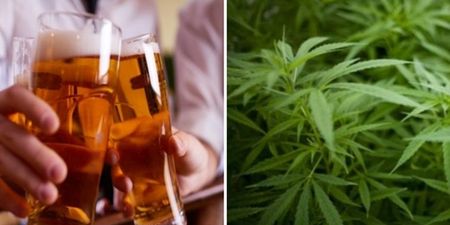 Study shows that the smartest students are more likely to drink alcohol and smoke pot