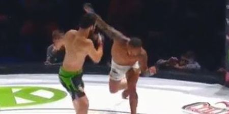 Former UFC fighter loses fight with first punch thrown and it didn’t even land