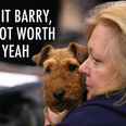 Just 14 memes from Crufts to remind us that all dogs are precious