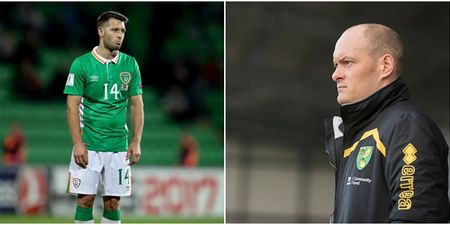 Wes Hoolahan might have been a key reason for Norwich City manager’s sacking
