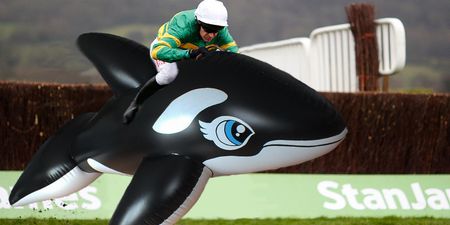 Cheltenham is far more entertaining if you replace the horses with inflatable animals