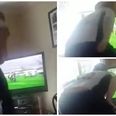 Watch this punter’s absolutely brilliant reaction to a 50/1 shot win at Cheltenham