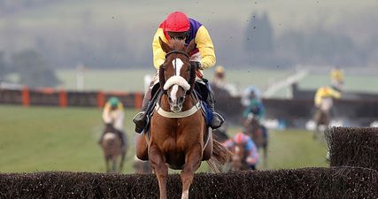 Cheltenham 2017: Your horse-by-horse guide to the Gold Cup