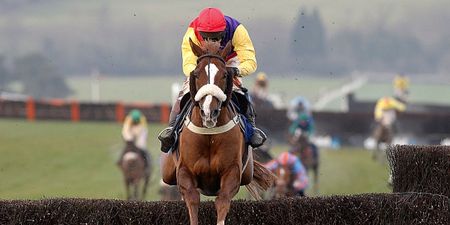 Cheltenham 2017: Your horse-by-horse guide to the Gold Cup