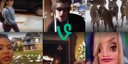 We went in deep on some of the greatest Vines to try work out why they’re so funny