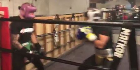UFC star sparring with arguably the greatest boxer in the world is in equal parts amazing and frustrating