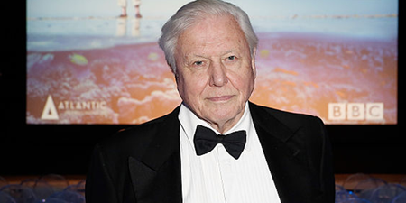 Sir David Attenborough has revealed his struggles with memory loss