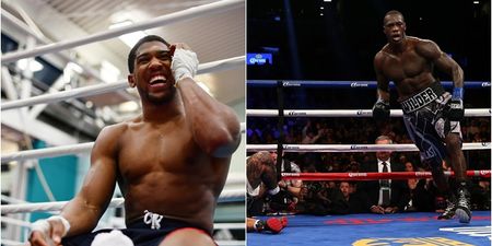 Deontay Wilder ups pursuit of Anthony Joshua but is mercilessly mocked for choice of footage