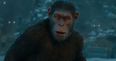 The final trailer for War for the Planet of the Apes is an action-packed stunner