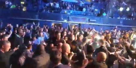 Brawl breaks out after Paul Daley submits to debuting Rory MacDonald