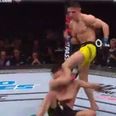 UFC star finds out the brutal way how sloppy takedowns can be punished