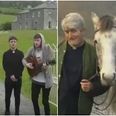 People want this cover of My Lovely Horse to be Ireland’s 2018 Eurovision entry