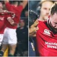 Stuart Hogg ruled out of Lions Tour after gut-wrenching news confirmed