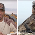 Snoop Dogg narrating Planet Earth II’s ‘Iguana vs Snakes’ makes it even better