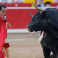 A matador has died after being gored during a bullfight