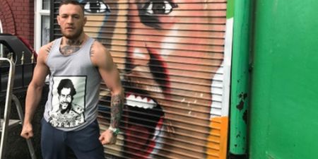 Conor McGregor has had an ambitious new mural painted in his gym