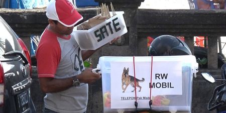 Investigation finds tourists in Bali are being sold dog meat and being told it’s chicken