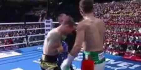Michael Conlan basically told the ref to stop the fight after brutalising opponent