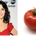 Nigella Lawson somehow managed to annoy people with a recipe for tomato salad