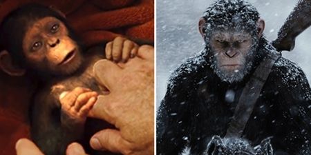 This superb refresher of the Planet of the Apes films will get you ready for war