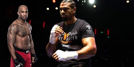 David Haye reportedly set to fight top UFC light heavyweight early next year