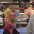 Glimpses of Conor McGregor’s likely gameplan for Mayweather on show in sparring clips