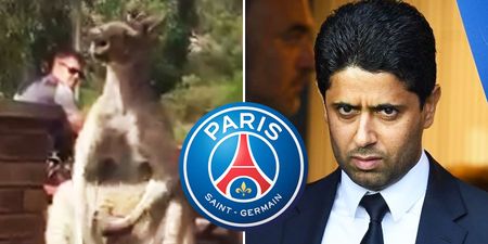 WATCH: Lyon president shares video comparing PSG boss to a masturbating kangaroo