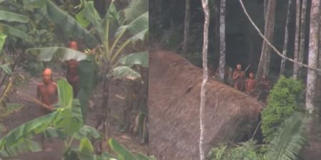 Uncontacted Amazonian tribe ‘killed and chopped up by gold miners’ in Brazil