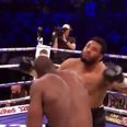 British heavyweight’s knockout victory is almost too brutal to watch