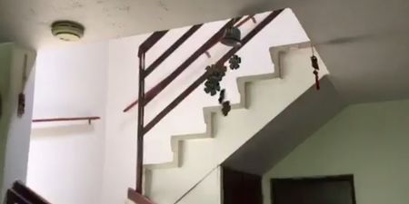 WATCH: Man records footage of inside of his house shaking as Mexico hit with 7.1 earthquake