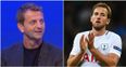 Spurs fans annoyed with Tim Sherwood’s comments about Harry Kane