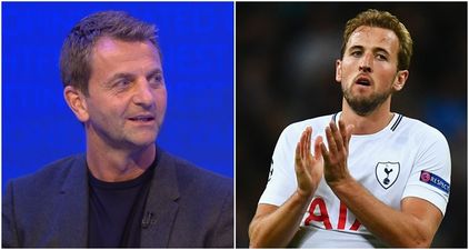 Spurs fans annoyed with Tim Sherwood’s comments about Harry Kane
