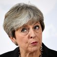 By confirming that Britain is not Norway Theresa May scotched claims this government is clueless
