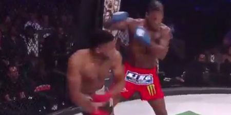 Left hand of Nottingham’s Paul Daley is one of the scariest weapons in all of MMA