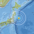 Japan rocked by powerful earthquake