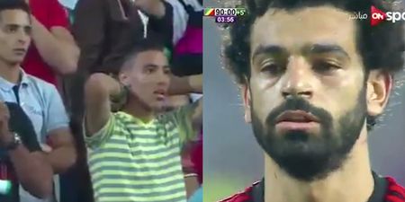 WATCH: Mo Salah sparks wild celebration with qualification-clinching late penalty