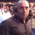 Joe Rogan’s unfortunate error at UFC 216 couldn’t have come at a worse time