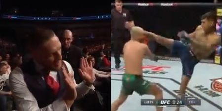 Conor McGregor receives referee warning as he watches teammate fight