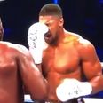 The moment that Anthony Joshua’s nose was smashed by a Takam headbutt