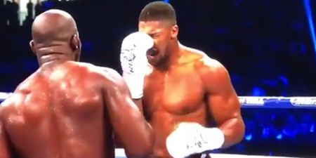 The moment that Anthony Joshua’s nose was smashed by a Takam headbutt