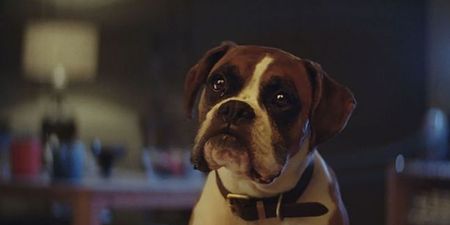 Details of this year’s John Lewis Christmas advert have been revealed