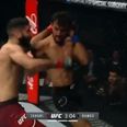 Brutal spinning elbow only the second UFC knockout of its kind