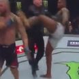 British heavyweight receives brutal illegal kick on UFC 217 card