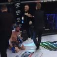 Referee exemplifies class in response to Conor McGregor’s classless antics