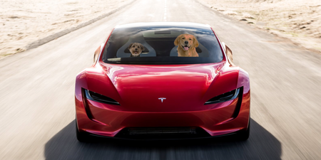The new Tesla Roadster is even more impressive if you add dogs, FYI