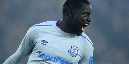 Football fans are confused by The FA’s Oumar Niasse dive charge