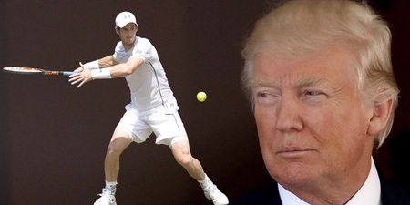 Andy Murray’s trolling of Donald Trump has gone down a treat